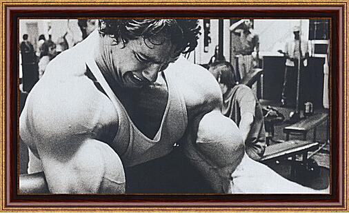 Картина - Арнольд Шварценеггер (Arnold Schwarzenegger)