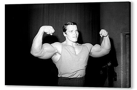 Арнольд Шварценеггер (Arnold Schwarzenegger)