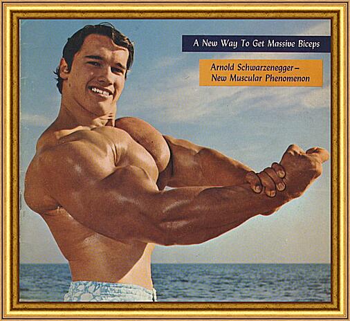 Картина - Арнольд Шварценеггер (Arnold Schwarzenegger)