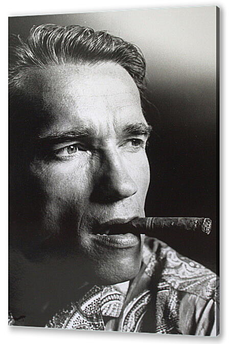 Постер (плакат) - Арнольд Шварценеггер (Arnold Schwarzenegger)