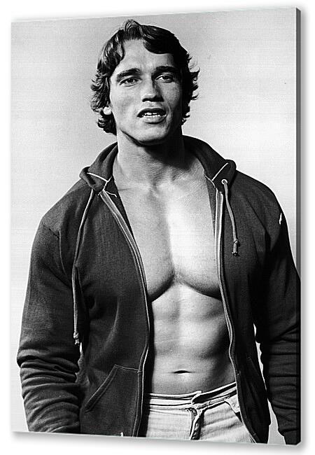 Арнольд Шварценеггер (Arnold Schwarzenegger)