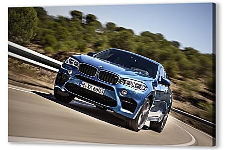 Картина маслом - BMW X6 M