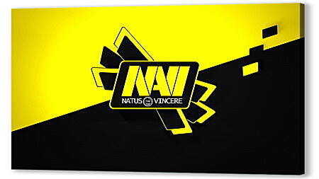 natus vincere, navi, krass
