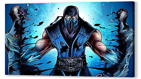 Постер (плакат) - mortal kombat, sub-zero, ninja
