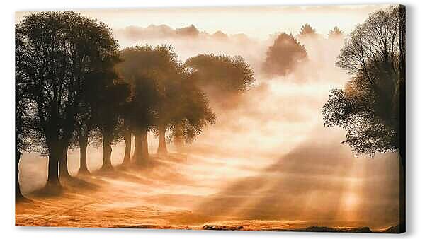 Туман на дороге