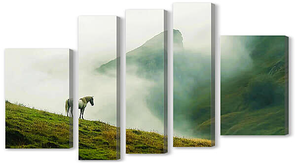 Модульная картина - Лошадь в горах