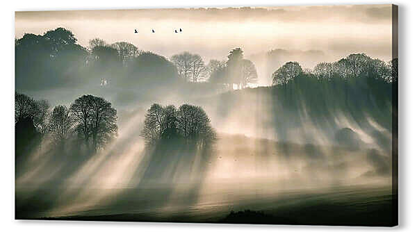 Вечерние лучи