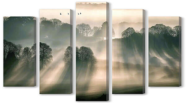 Модульная картина - Вечерние лучи