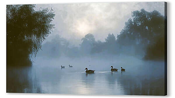 Утки на реке