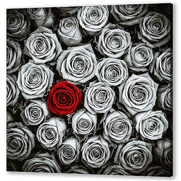 Букет роз, чб постер