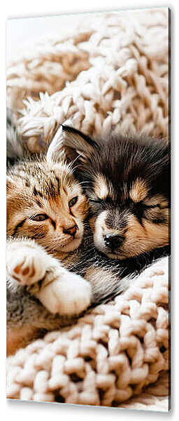 Домашние питомцы