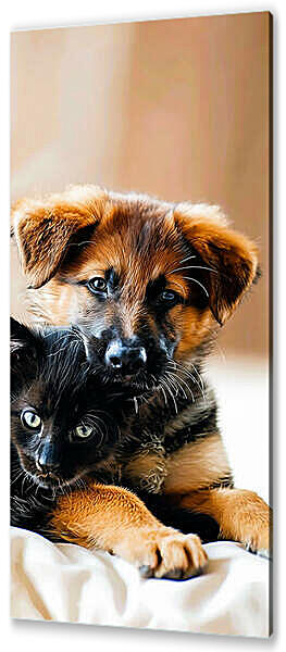 Постер (плакат) - Домашние любимцы