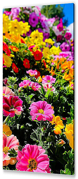 Склон с цветами