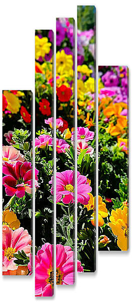 Модульная картина - Склон с цветами