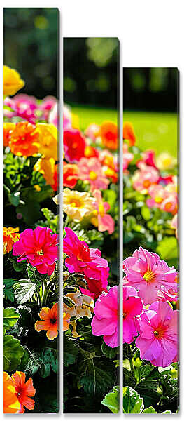 Модульная картина - Цветы на склоне