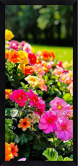 Картина - Цветы на склоне