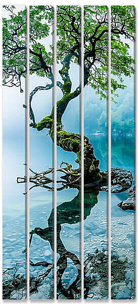 Модульная картина - Кривое дерево в горах