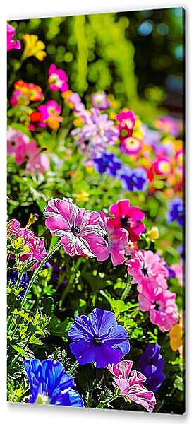 Розовые цветы