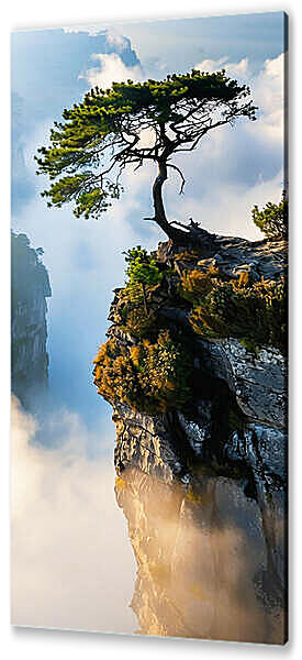 Крутой берег с деревом