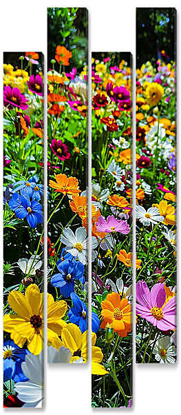 Модульная картина - Россыпь полевых цветов