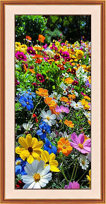 Картина - Россыпь полевых цветов