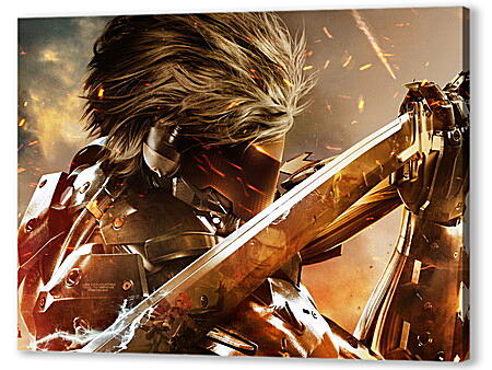 Картина маслом - Metal Gear Rising: Revengeance