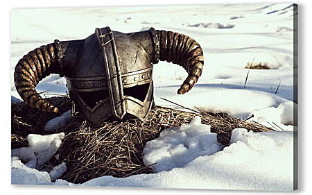 The Elder Scrolls V: Skyrim
