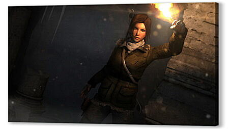 Rise Of The Tomb Raider
