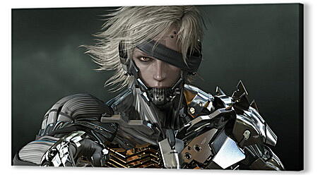 Постер (плакат) - Metal Gear Rising: Revengeance
