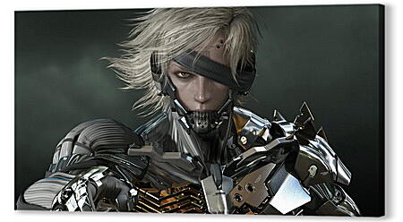 Metal Gear Rising: Revengeance
