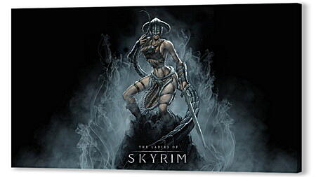 The Elder Scrolls V: Skyrim
