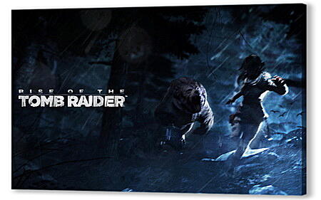 Rise Of The Tomb Raider
