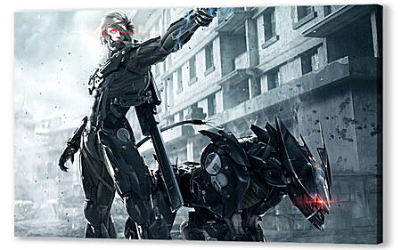 Постер (плакат) - Metal Gear Rising: Revengeance
