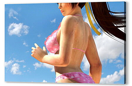 Dead Or Alive 5
