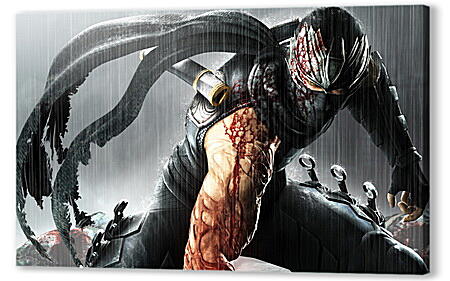 Постер (плакат) - Ninja Gaiden
