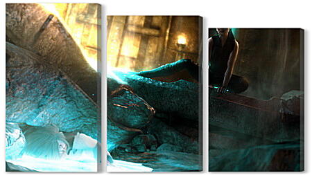 Модульная картина - Tomb Raider: Underworld

