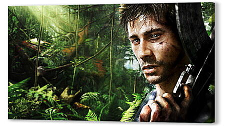 Far Cry 3
