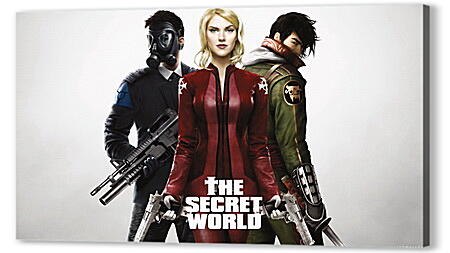 The Secret World
