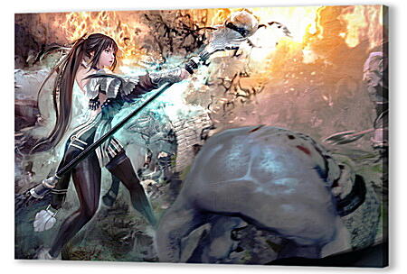 Vindictus
