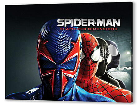 Постер (плакат) - Spider-man: Shattered Dimensions
