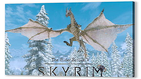 The Elder Scrolls V: Skyrim
