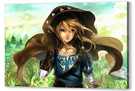 Постер (плакат) - The Legend Of Zelda Wii U
