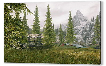 The Elder Scrolls V: Skyrim
