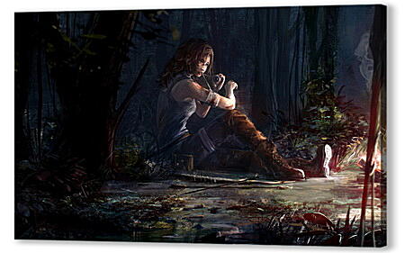 Tomb Raider
