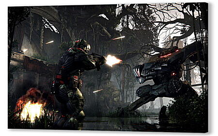 Crysis 3
