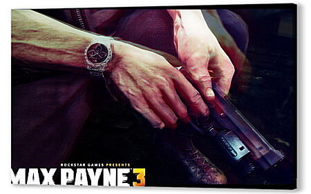 Max Payne 3
