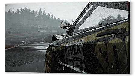 Project Cars
