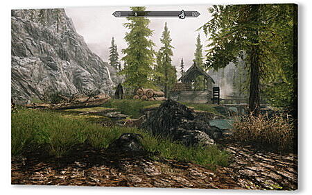 The Elder Scrolls V: Skyrim
