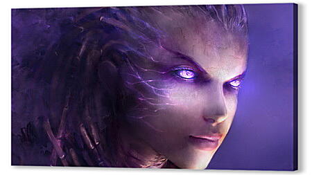 StarCraft II: Heart Of The Swarm
