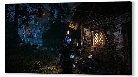 Картина маслом - The Witcher 2: Assassins Of Kings
